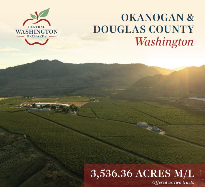 Listing #19461